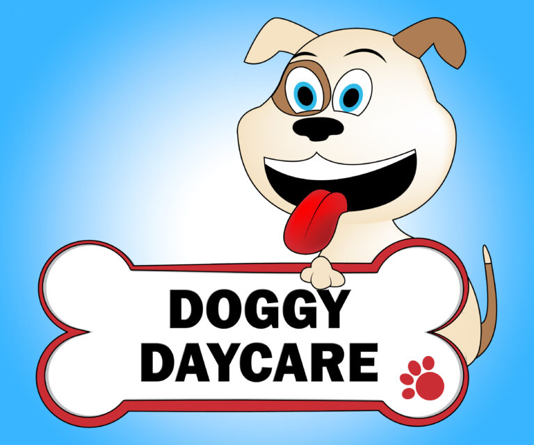 Tips For Finding The Best Doggy Daycare!